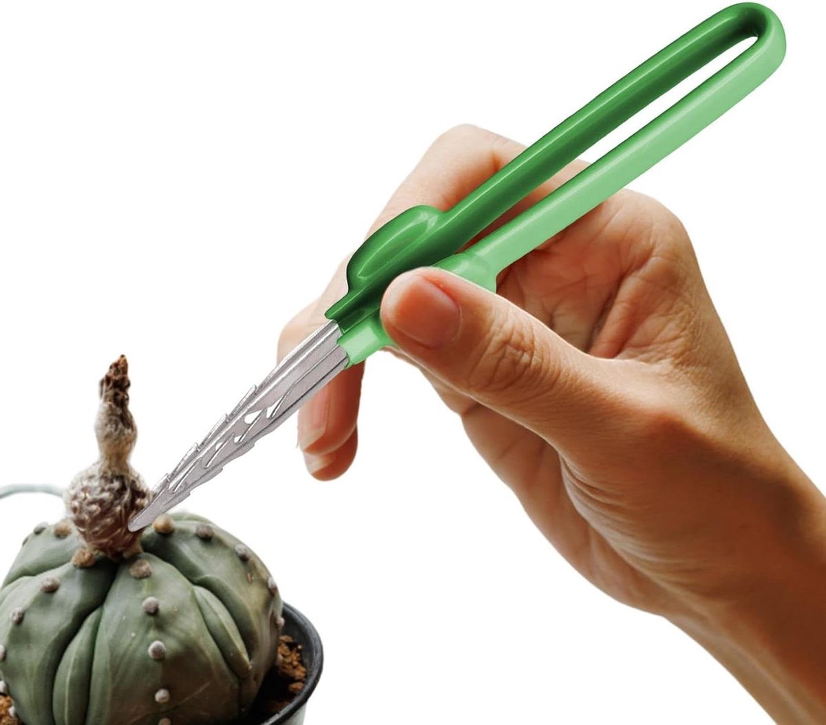 Recht Pincet - Handwerk Tang - Klusjes en Hobby - Getande Punt - 18.7 cm - Standaard