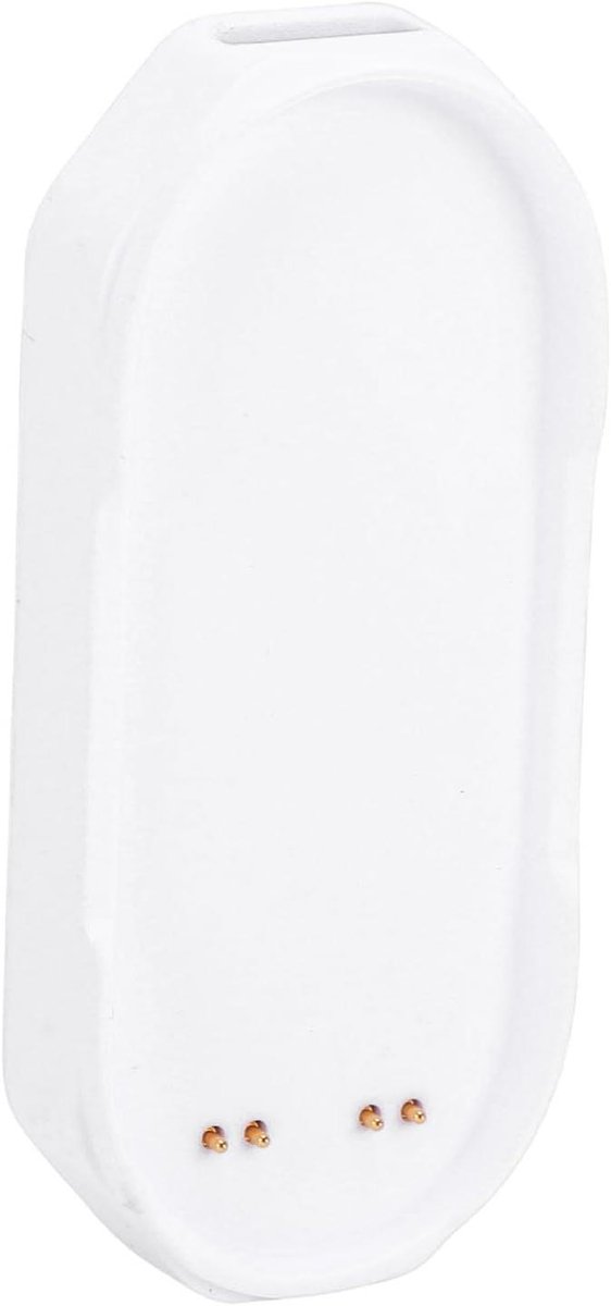 Oplaaddock Recorder - Snellaadstation Geluidsopname - Snel Opladen - Sonde-interface - Compact 0.3 Lb - Wit