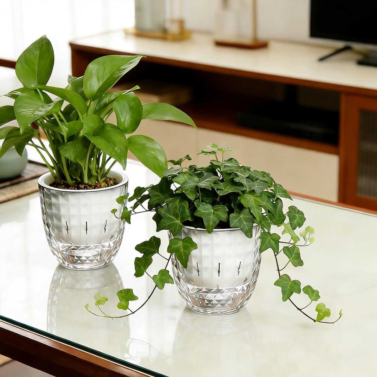 KZQ Zelfwaterende Bloempotten Set van 2, 10cm met Afvoergaten en Onderzetter, Moderne Kunststof Plantenpotten voor Binnen, Geschikt voor Vetplanten, Kruiden en Cactus — cadeau in Wonen & Interieur - foto 4