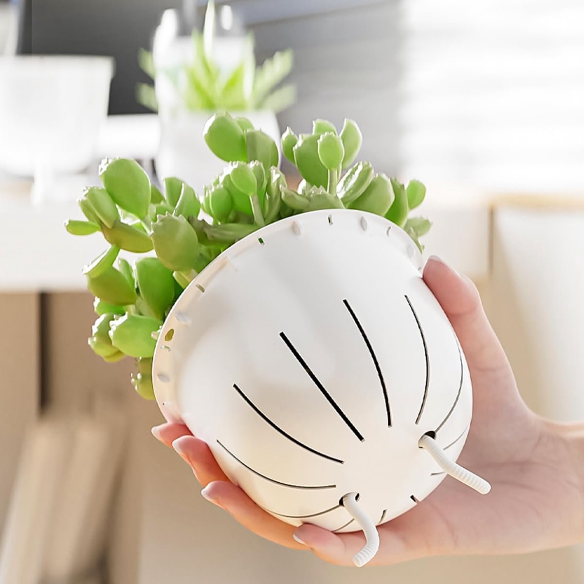 KZQ Zelfwaterende Bloempotten Set van 2, 10cm met Afvoergaten en Onderzetter, Moderne Kunststof Plantenpotten voor Binnen, Geschikt voor Vetplanten, Kruiden en Cactus — cadeau in Wonen & Interieur - foto 2