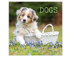 Honden Kalender 2027