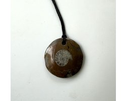 Ammoniet hanger fossiel