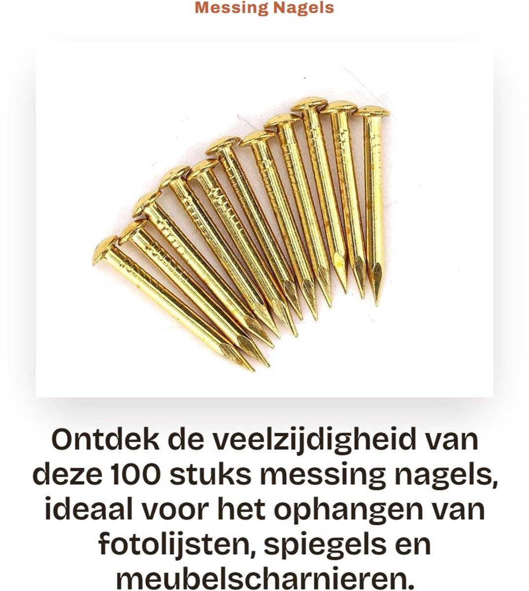 Dailygoods- Rozetnagels 100 Stuks - Messing - Ronde Kop - Bevestigingsfunctie - Hoogwaardig Materiaal - Eenvoudige Installatie - Spijkers