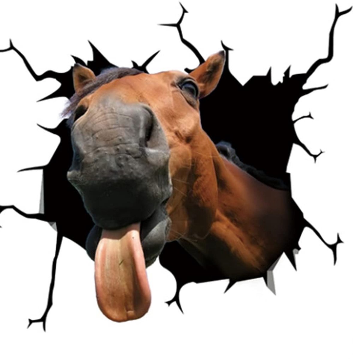 Dailygoods- Autosticker 3D - Grappige Dieren - Koe/Hond/Varken/Paard - Zelfklevend - Decoratieve Sticker - Afmetingen 26x26 cm - Dierensticker