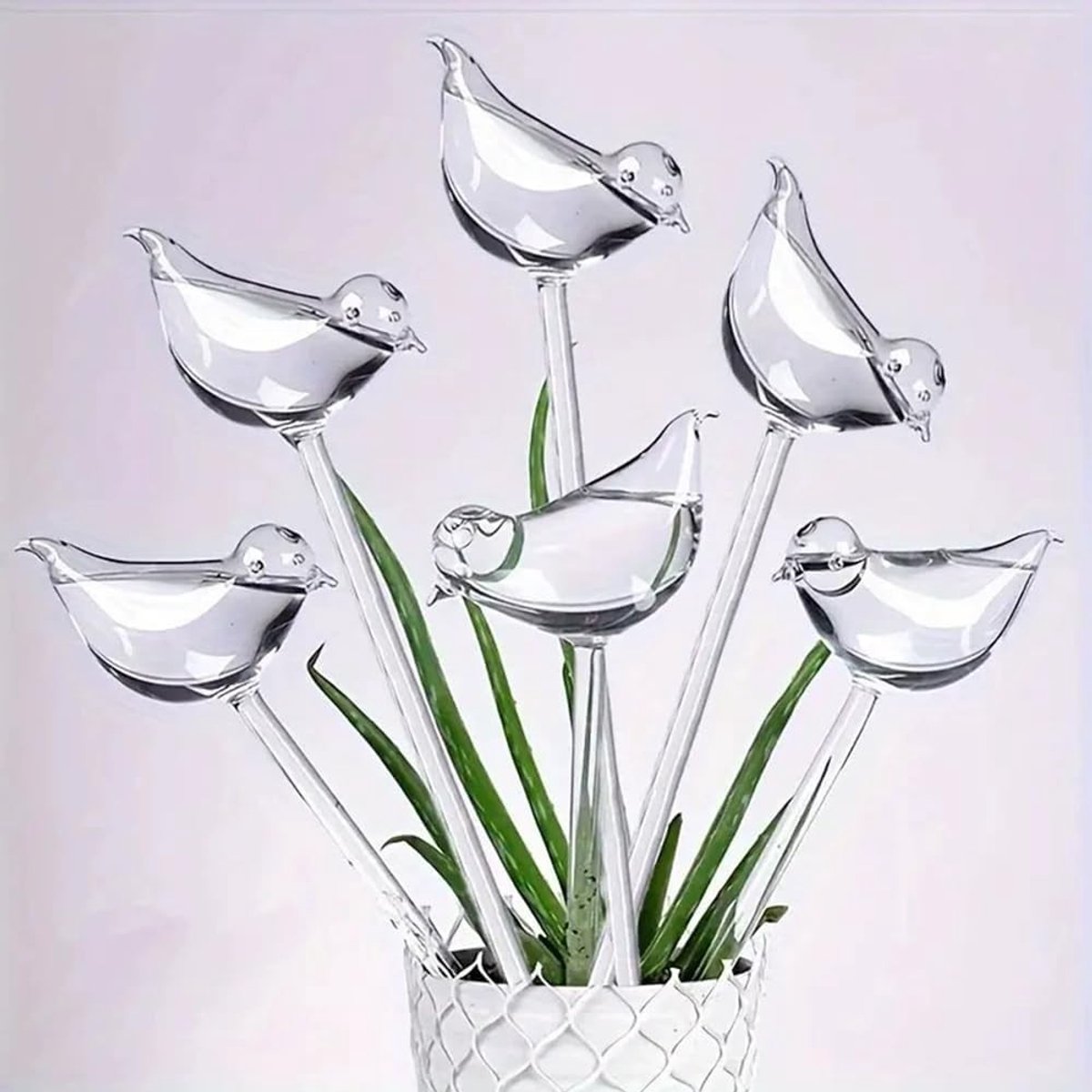 Dailygoods- Plantenwaterer Automatisch - 6-delige Set - Vogelvormig Ontwerp - Glazen Waterapparaat - Voor Binnen/Buiten - Tuinaccessoire - Plantenbewateringssysteem