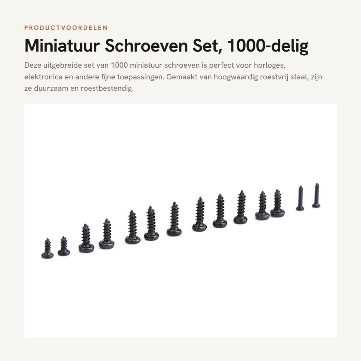 Dailygoods - Miniatuur Schroeven Set, 1000-delig, Roestvrijstalen Zelftappende Schroeven