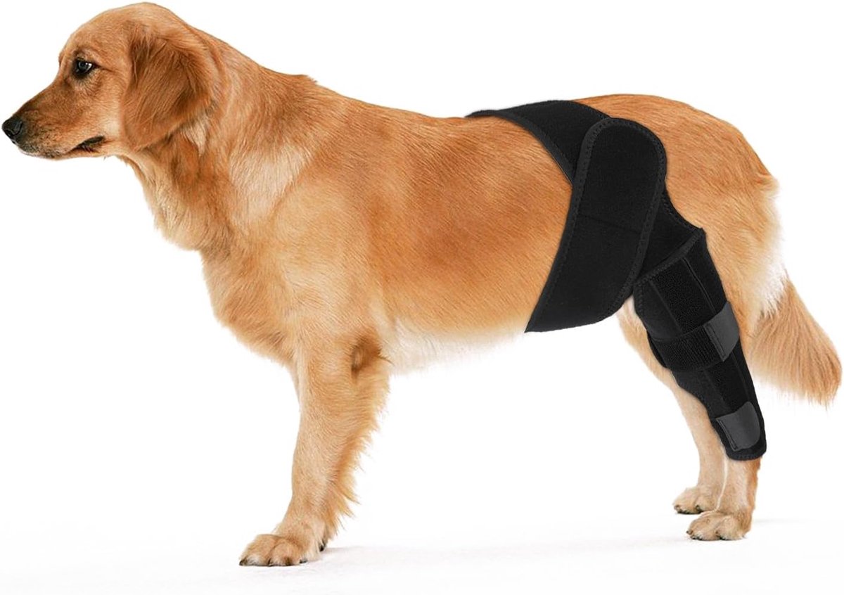 Hondenbeenbeugels - Kniebrace hond - Ondersteuning Gewrichten - Ademend Neopreen - Maat M - Zwart