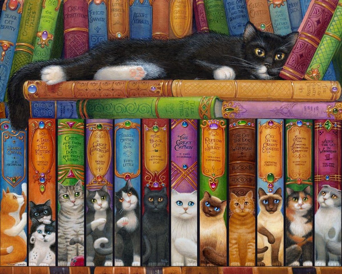 Boekenplank Puzzel - Legpuzzel Kat - Ontspanning Thuis - Uniek Kunstwerk - 1000 Stukjes - Meerkleurig