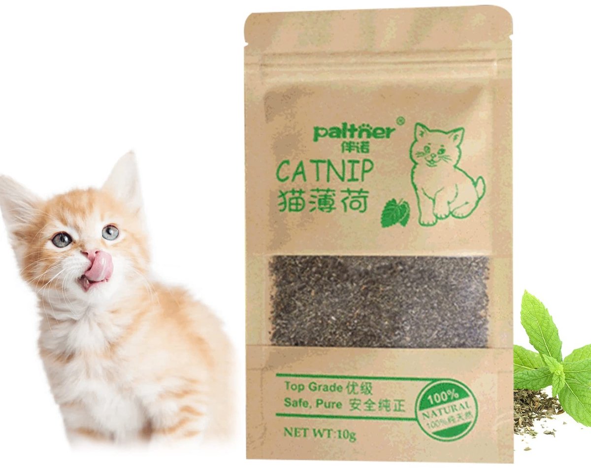 Dailygoods- Kattenkruid Hoogwaardige Natuurlijke Snack - Kattenkruid Plant - Kattenspeelgoed - Catnip - Gedroogd - Voorzichtig Gedroogd - Kattenvoer