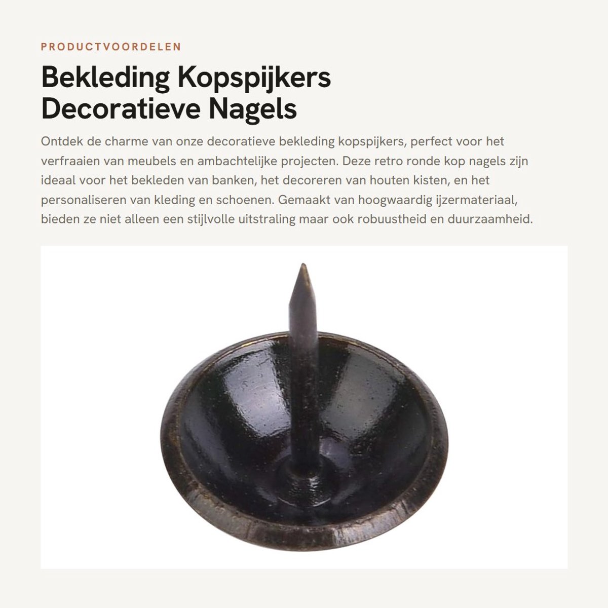 Dailygoods- Kopspijkers 100 Stuks - Decoratieve Nagels - Retro Ronde Kop - Meubelspijkers - Antieke Spijkers - Hoogwaardig Ijzer 16x20mm
