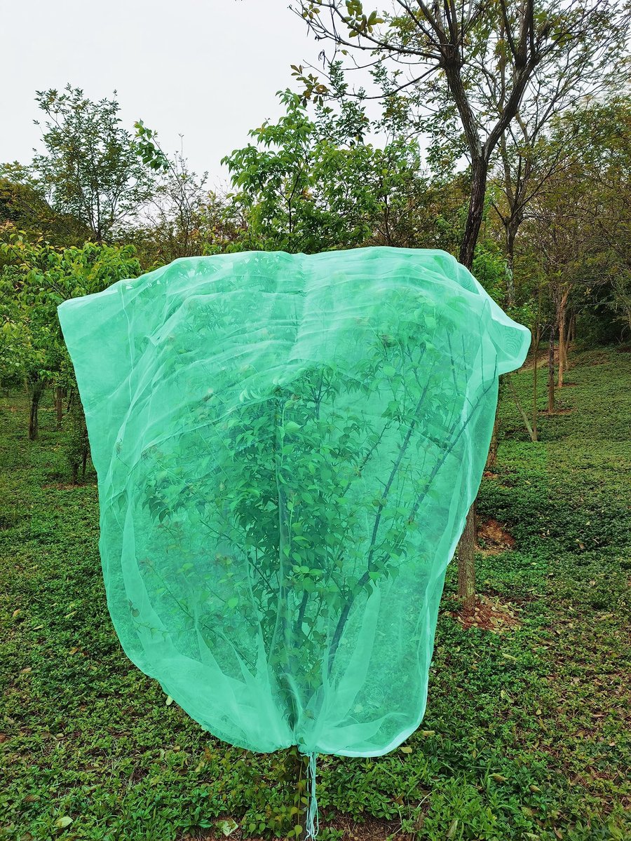 Dailygoods- Beschermingsnet 180 cm x 180 cm - Insecten/netten - Vogels/ongedierte - Plantenbeschermingsnet - Hoogwaardig polyethyleen - Verstelbaar trekkoord - Plantennet