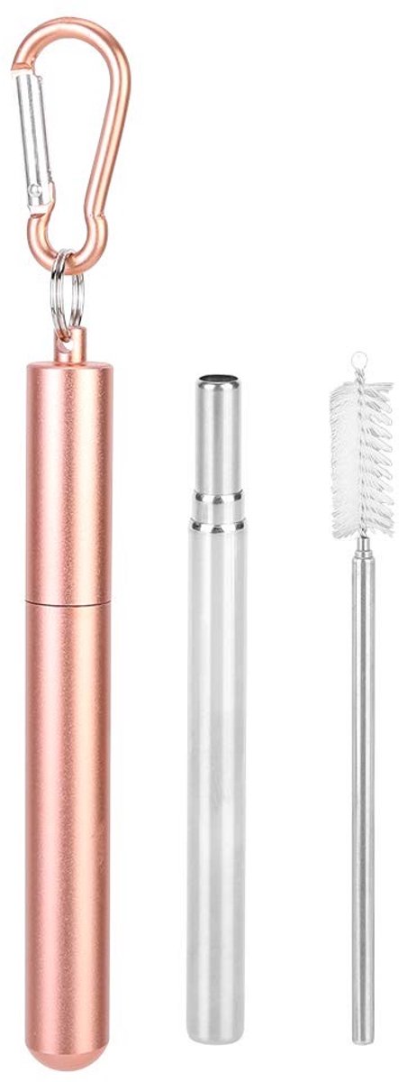 Dailygoods- Rietje Herbruikbaar 23 cm - Telescopisch - Roestvrij Staal - Inclusief Reinigingsborstel - Draagbaar - Sleutelhanger - Drinkrietje