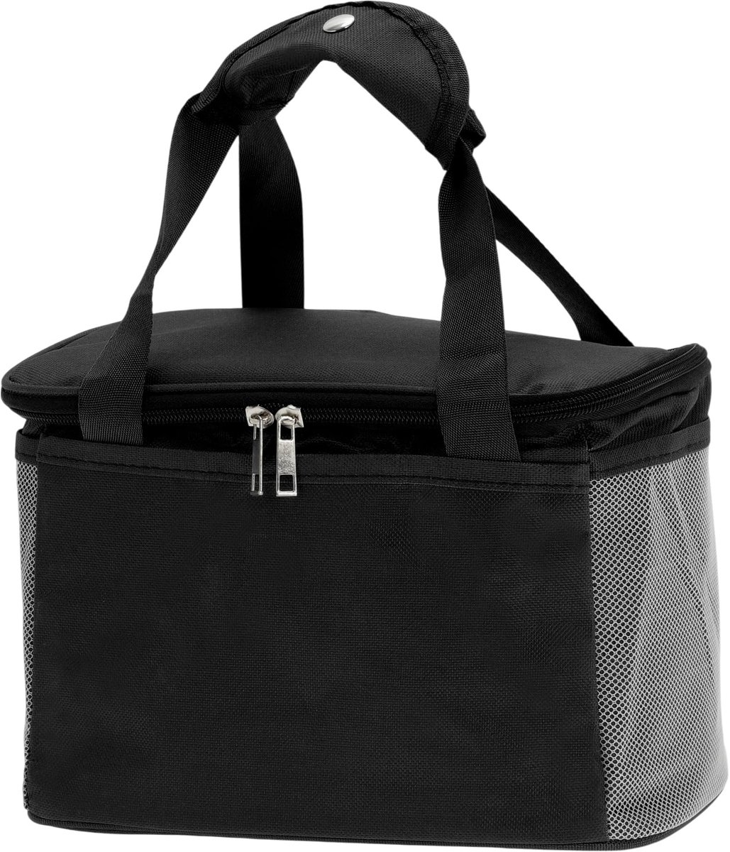 Dailygoods- Lunchtas Geïsoleerd - Waterdicht - Lekvrij - Picknicktas - Isoleertas - 4 Opbergvakken - Duurzaam 600D Oxford-stof - Koeltas