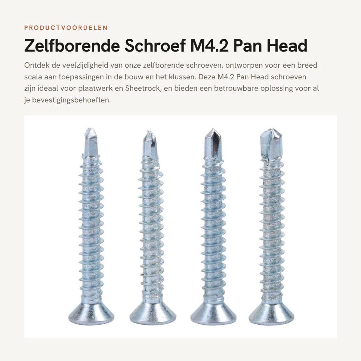Dailygoods- Zelfborende Schroef 50 Stuks - M4.2 Pan Head - Verzinkte IJzeren Schroeven - Bevestiging Plaatwerk - Hoogwaardige Kwaliteit - Ideaal voor Krappe Ruimtes