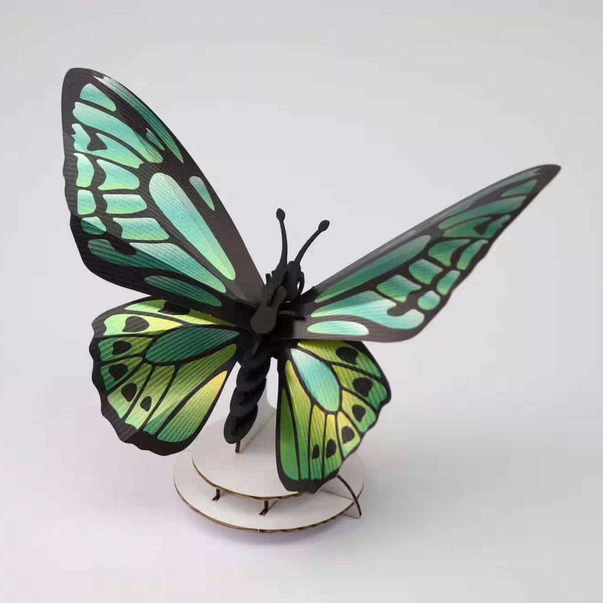 Assembli paper Green Birdwing Butterfly