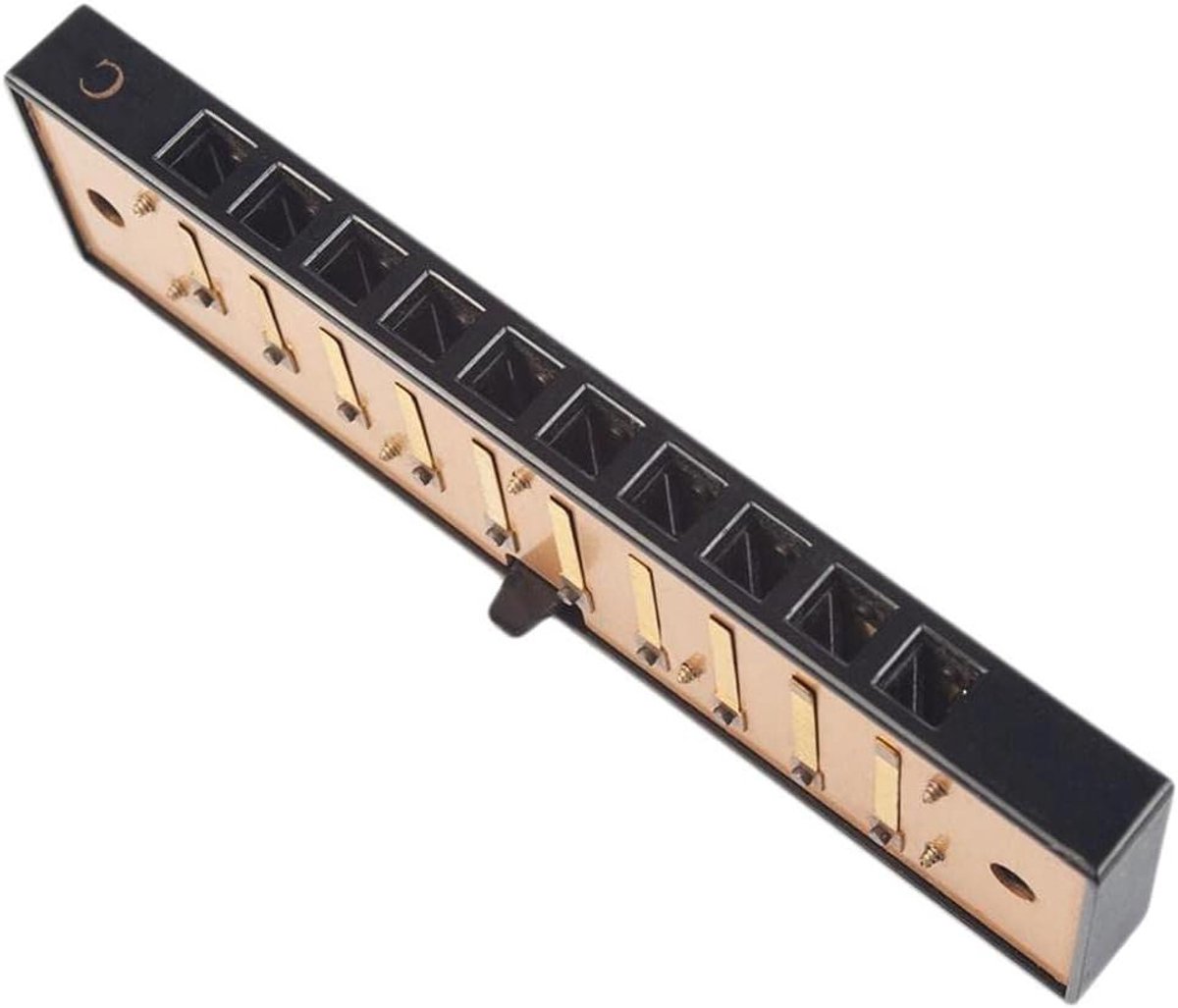 Harmonica Onderdelen - Mondharmonica Set - Muziek Maken - 10 Gaten C Toets - DIY Set - Zwart