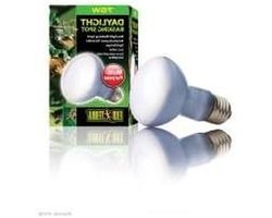 Warmtelamp Terrarium - Spot Lamp - Reptielen Klimaat - 75 Watt Vermogen - 120 Volt - Rustiek