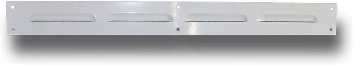 Ventilatierooster - Afvoerrooster insectenwering - Ventilatieopening beschermen - Met insectenhor - 400x40mm - Wit