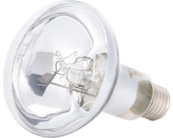 Verwarmingslamp Reptielen - Warmtelamp Terrarium - Dieren Welzijn - Verbetert Circulatie - 80W E27 - Transparant