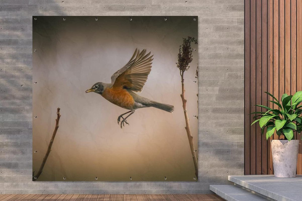 Tuinposter Roodborstje - Tuindoek Vogel - Tuin Decoratie - UV Bestendig - 200x200 cm - Veelkleurig