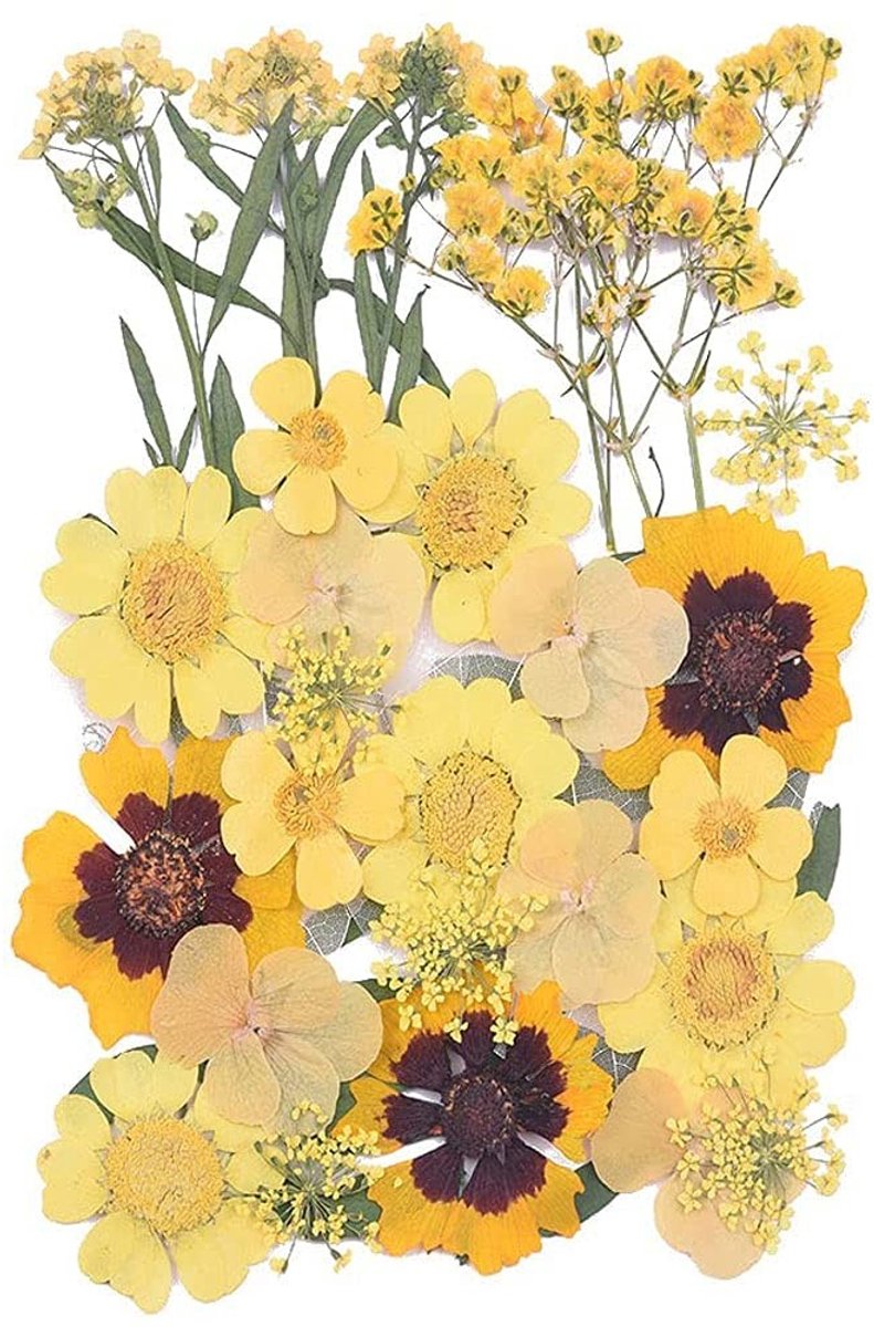 aladdien - Gedroogde Bloemen - Natuurlijke Gele Dried Flowers - Ideaal voor Resin en Nail Art - Creatieve DIY Materialen - Decoratieve Bloemen - Voo...
