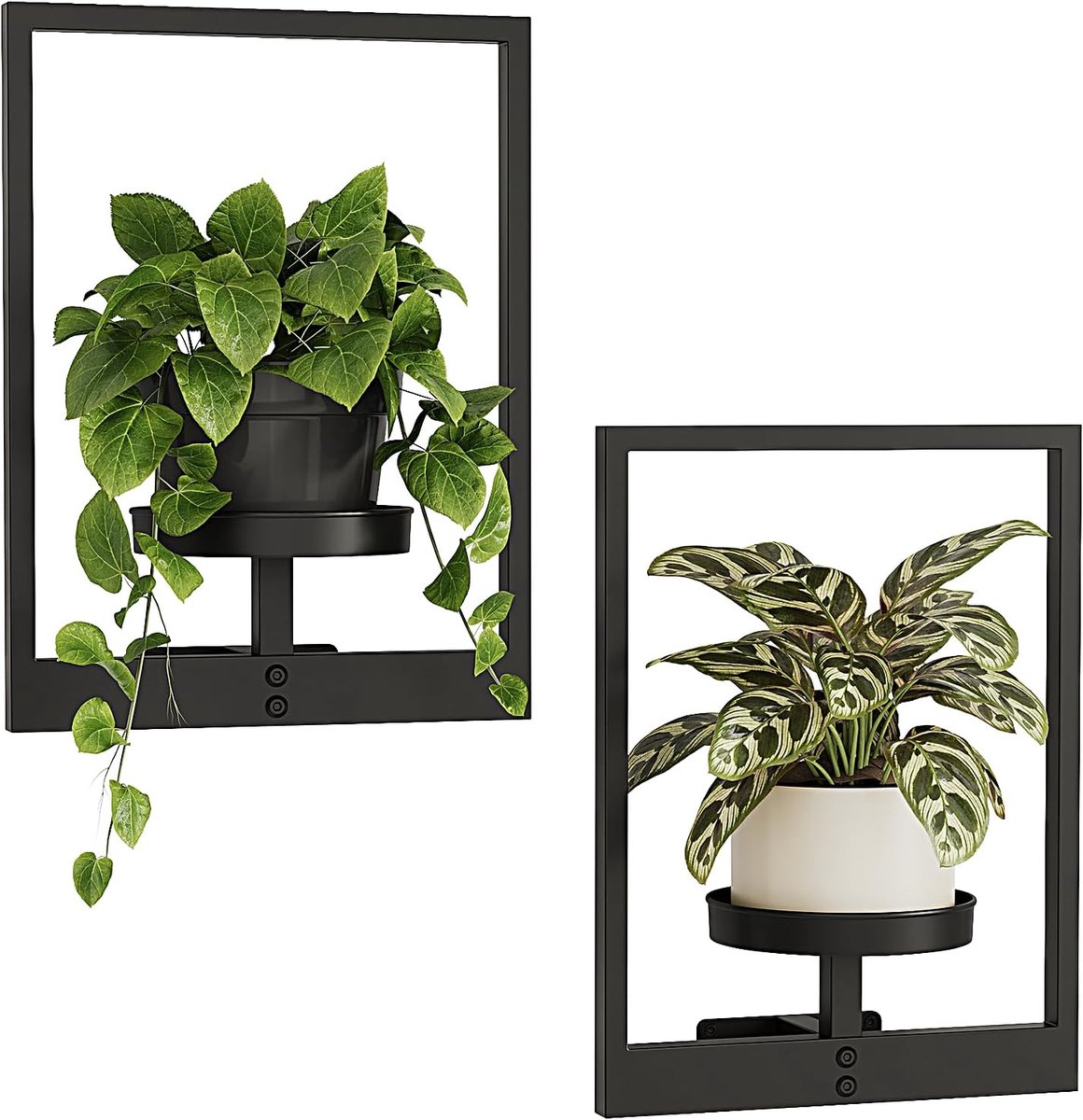 Famanu – Wandplanken voor kamerplanten, hangende plantenbakken voor binnen en buiten, metalen plantenrek voor muurmontage, zwart, set van 2 stuks