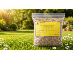 MONTKIARA Madeliefjes Graszaden – 200 g / 10 m² – Snelgroeiend – Dubbele Madeliefjessoort – Bloeitijd Maart-September – Zon & Halfschaduw