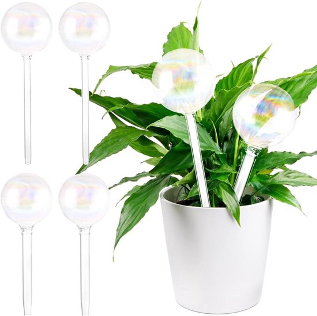 Set van 6 Irrigatieballen van Glas voor Planten binnen en buiten