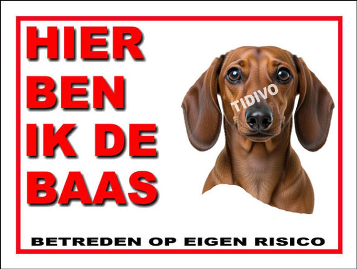 Dashond, Korhaar 2