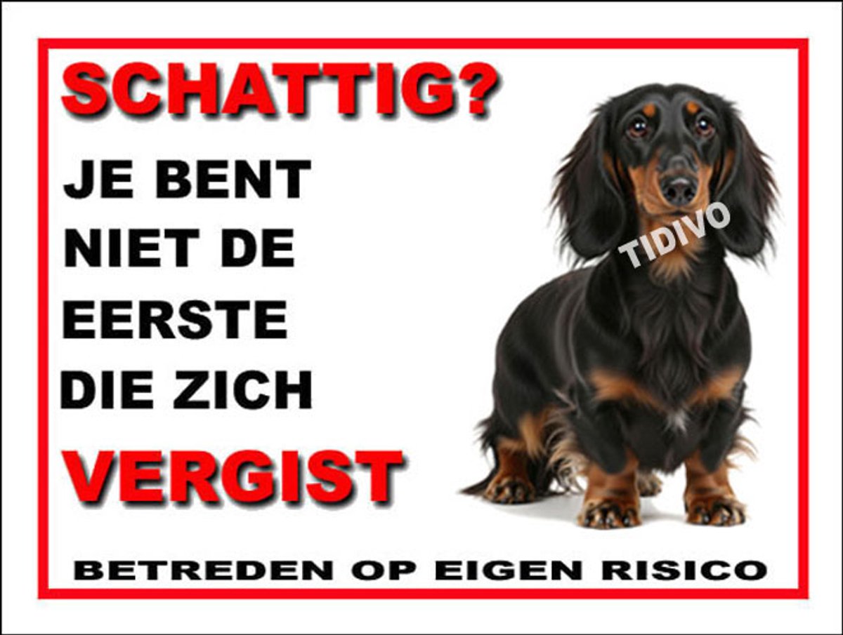 Dashond, Langhaar 14