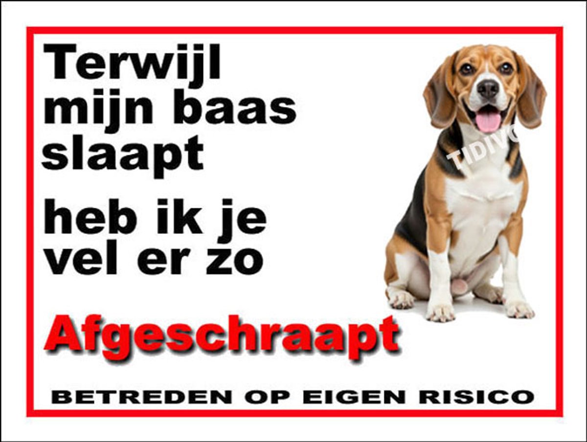 Finse Brak 15