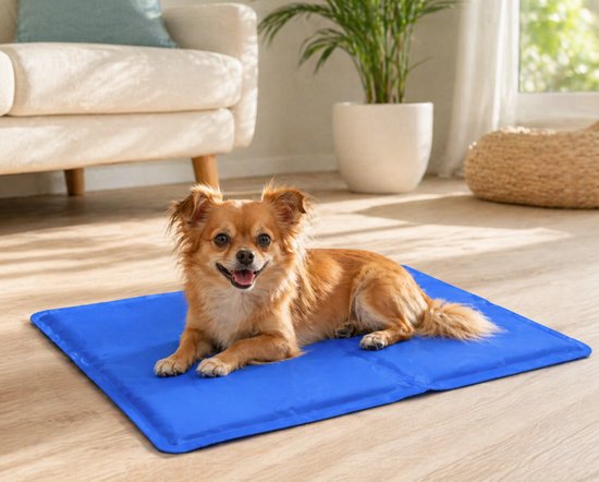Hondenkoelmat 40 x 50 cm – Maat S – Verkoelende Mat voor Kleine Honden