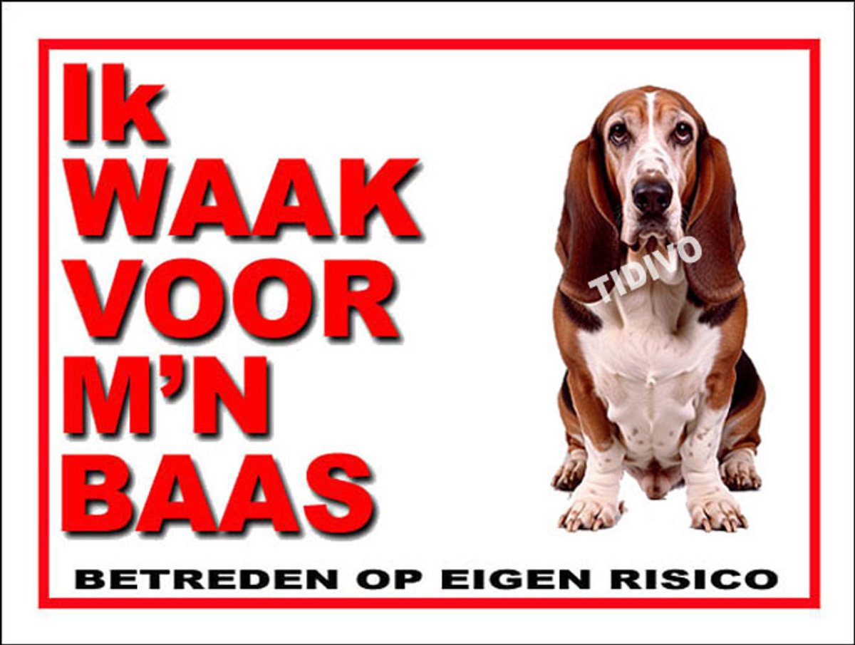 Duitse Brak 9