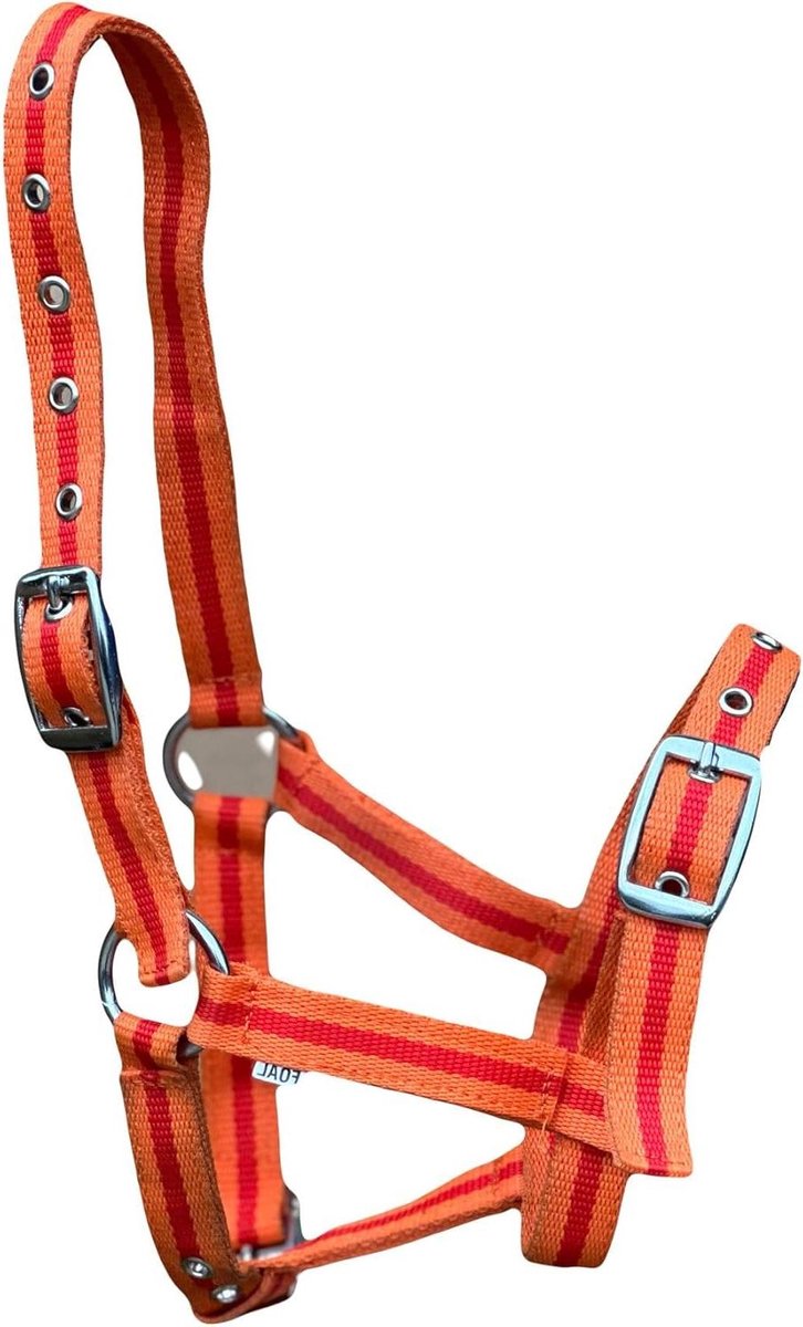 Veelkraag Halster - Paardentuig - Veulen Training - Multi Verstelbaar - Pony Maat - Oranje Rood