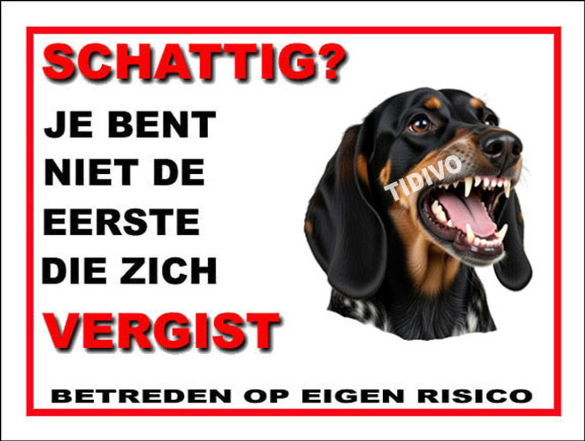 Luzerner Laufhund 14