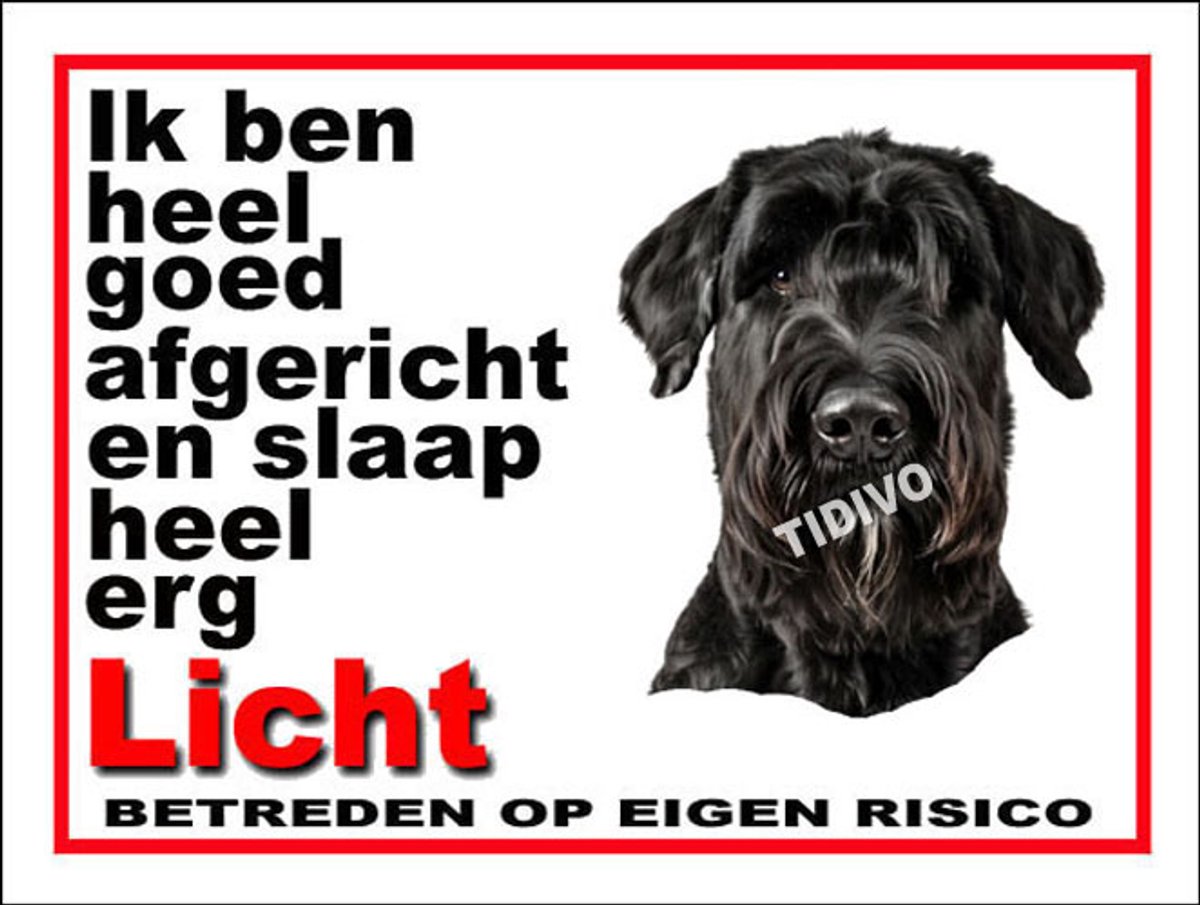 Riesenschnauzer 4