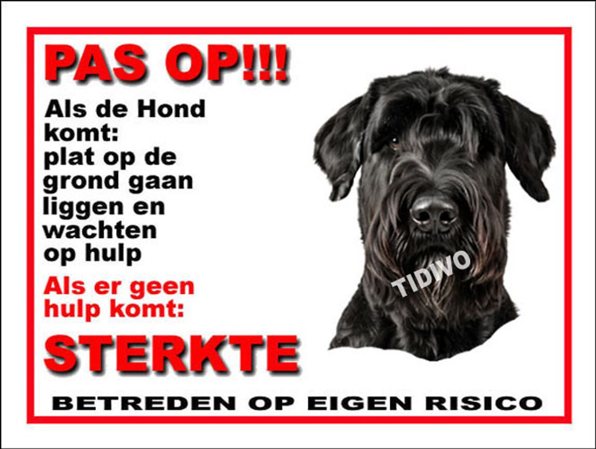 Riesenschnauzer 12