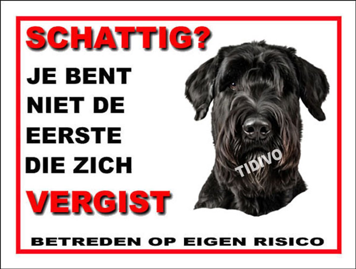 Riesenschnauzer 14