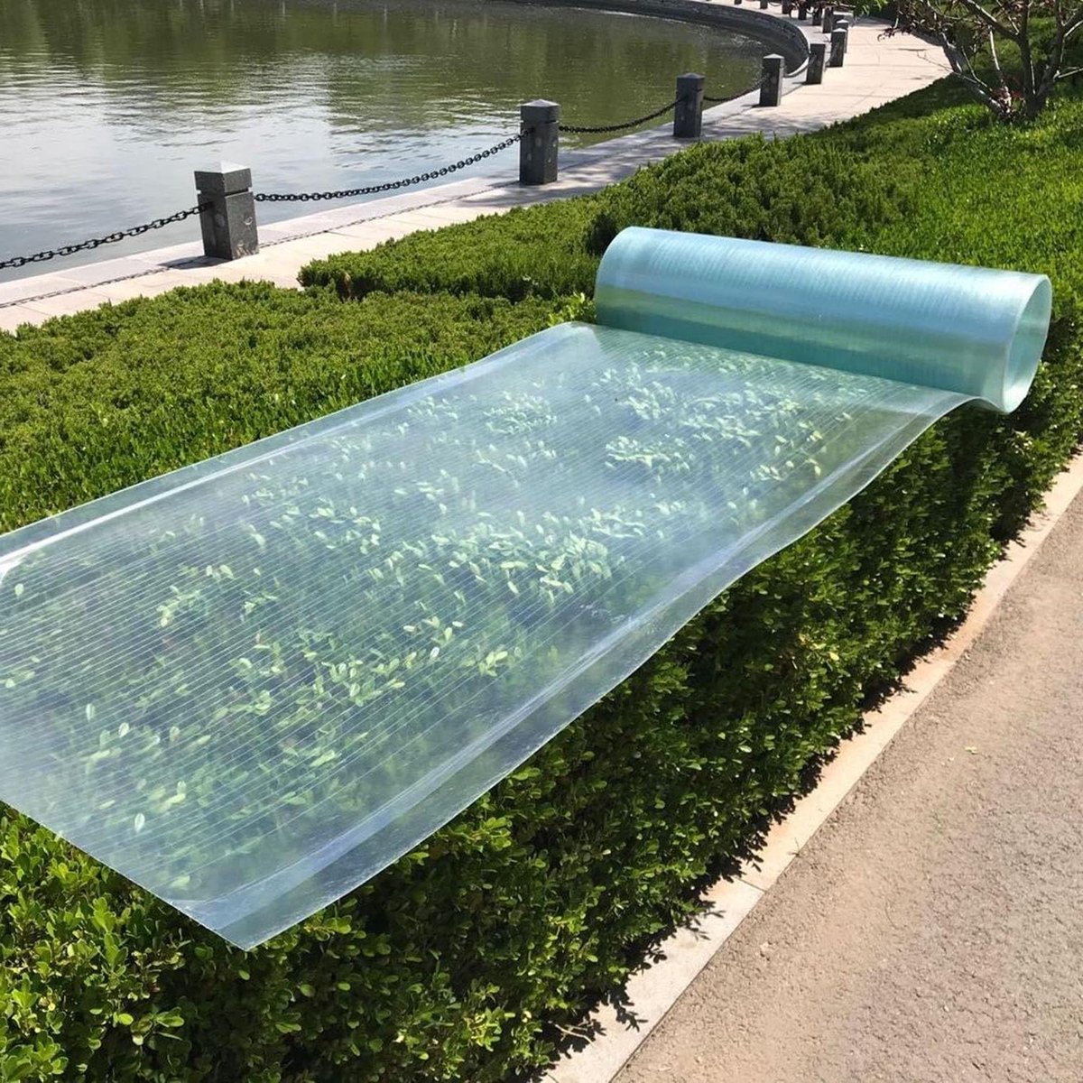 Dakplaten Polycarbonaat - Isolatie Daglicht - Bescherming Buiten - UV-bestendig Weerbestendig - 0.8m x 7m - Helder