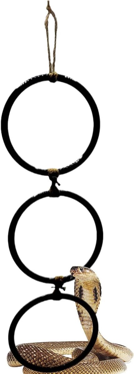 Terrarium Ketting - Verrijkingsringen - Gedrag Stimuleren - Zes Klimmogelijkheden - 42 cm Lang - Zwart