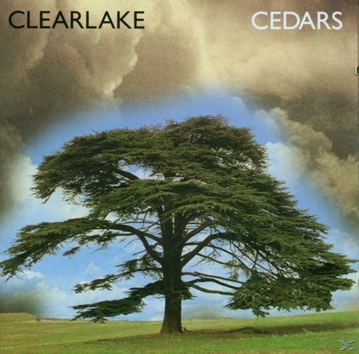 Cedars