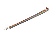 50 Stuks - Pride Keycord Met Rainbow/ Regenboog Print En Veiligheidsclip
