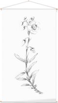 Zonneroosje zwart-wit Schets (Rock Rose) - Foto op Textielposter - 60 x 90 cm