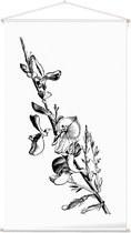 Genisteae zwart-wit (Broom) - Foto op Textielposter - 60 x 90 cm