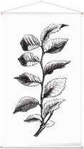 Ulmus Minor zwart-wit 2 (Cornish Elm) - Foto op Textielposter - 60 x 90 cm