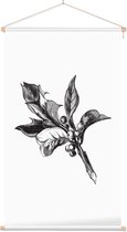 Ilex Opaca zwart-wit (Holly Berries) - Foto op Textielposter - 40 x 60 cm
