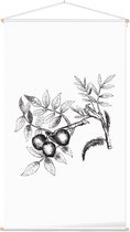 Walnoot zwart-wit (walnut) - Foto op Textielposter - 60 x 90 cm