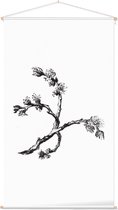 Ulmus Minor zwart-wit (Cornish Elm) - Foto op Textielposter - 60 x 90 cm