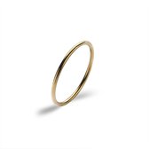 Twice As Nice Ring in goudkleurig edelstaal, dunne ring 56