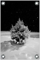 Tuinposter –Besneeuwde Boom met Zwarte Achtegrond– 40x60cm Foto op Tuinposter (wanddecoratie voor buiten en binnen)